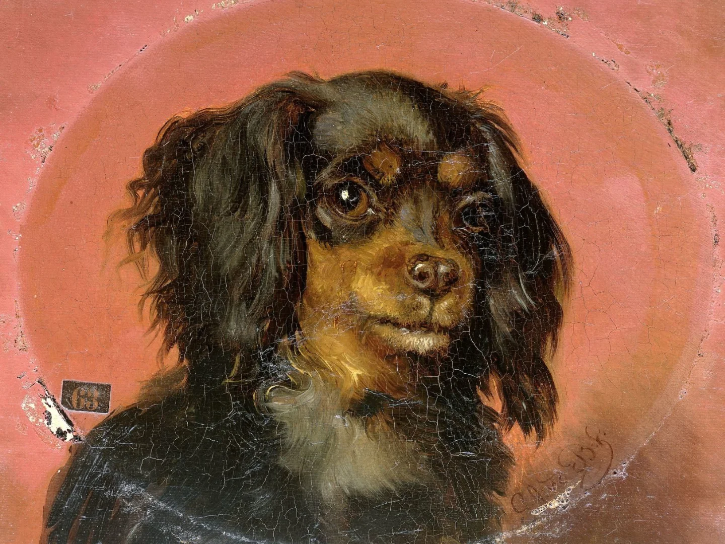 Portrait of a Puppy